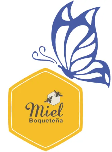 bees-and-butterflies-logo