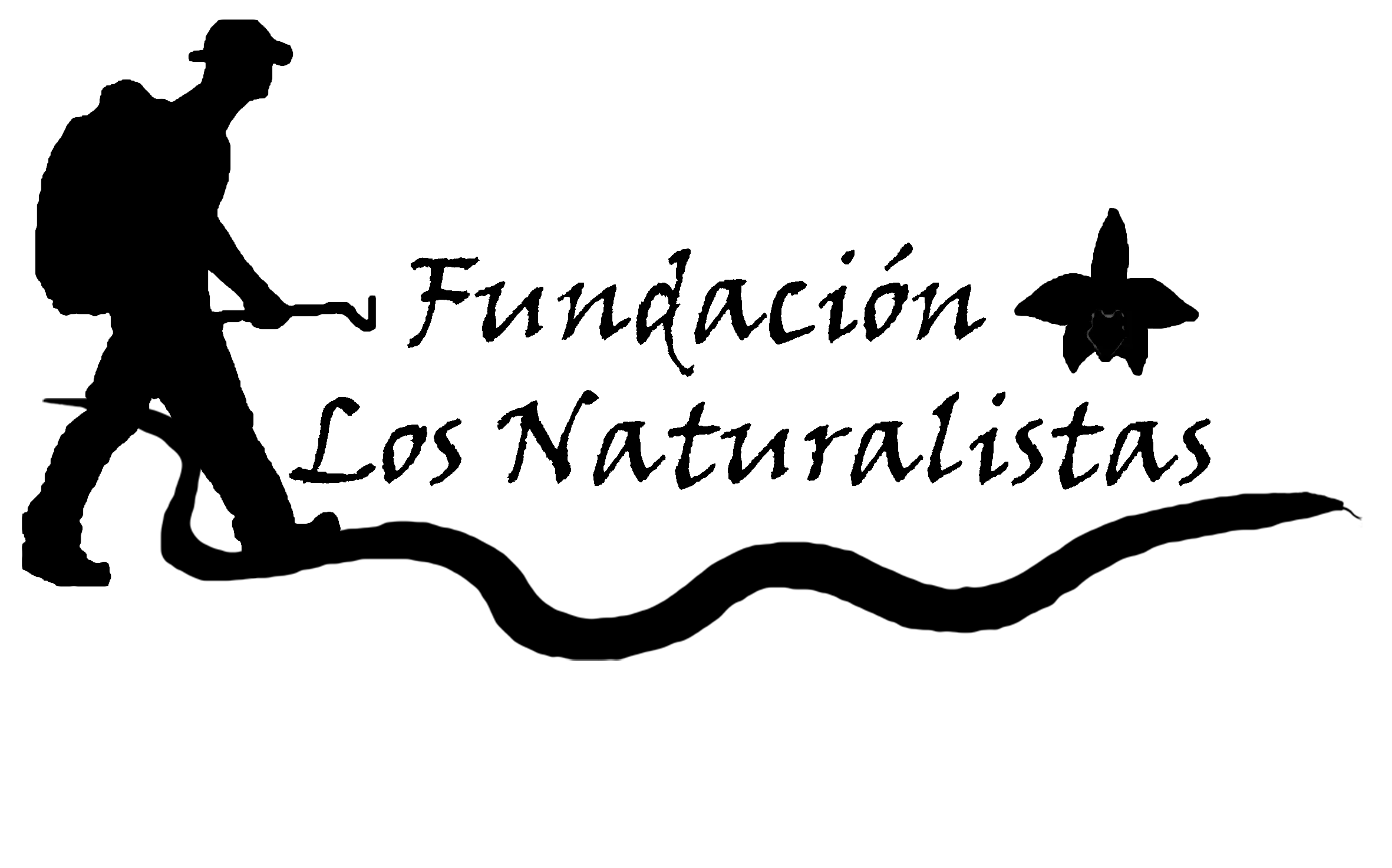 fundacion-los-naturistas-logo