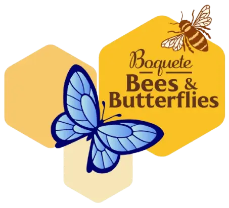 Logo-2025-Boquete-bee-butterflies